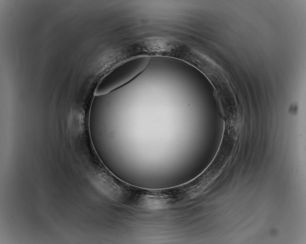 X0000098080556200804041151
