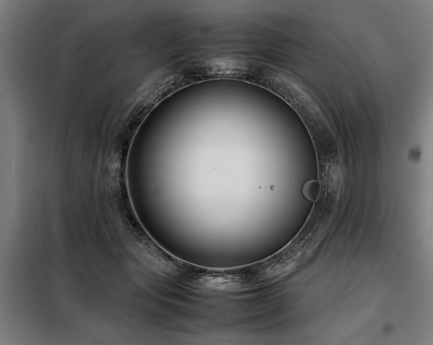 X0000098080557200804041151