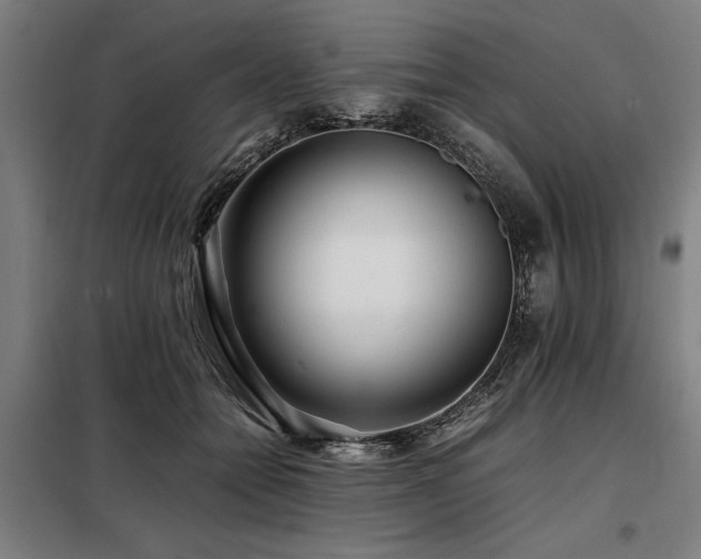 X0000098080558200804041151