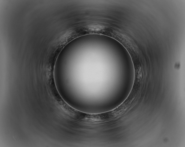 X0000098080559200804041151
