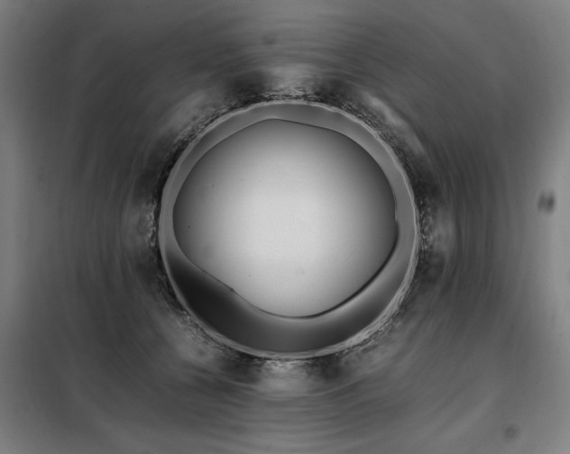 X0000098080560200804041151