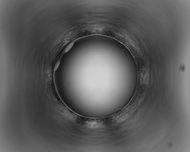 X0000098080561200804041151
