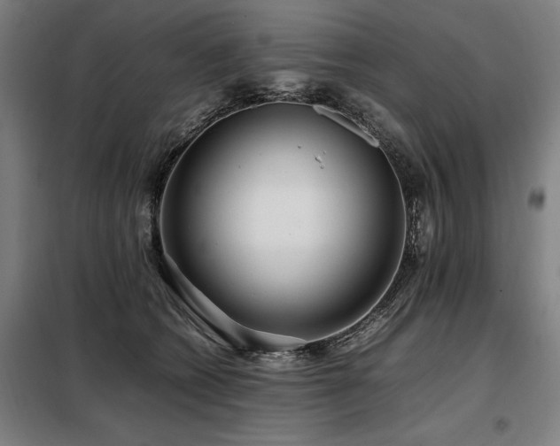 X0000098080562200804041151