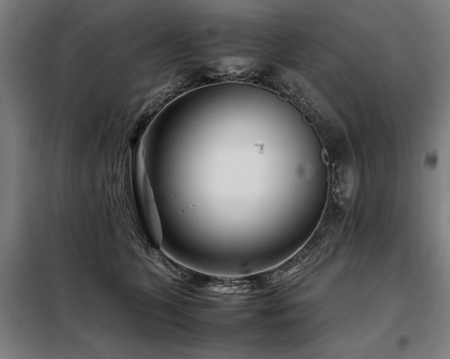 X0000098080563200804041151