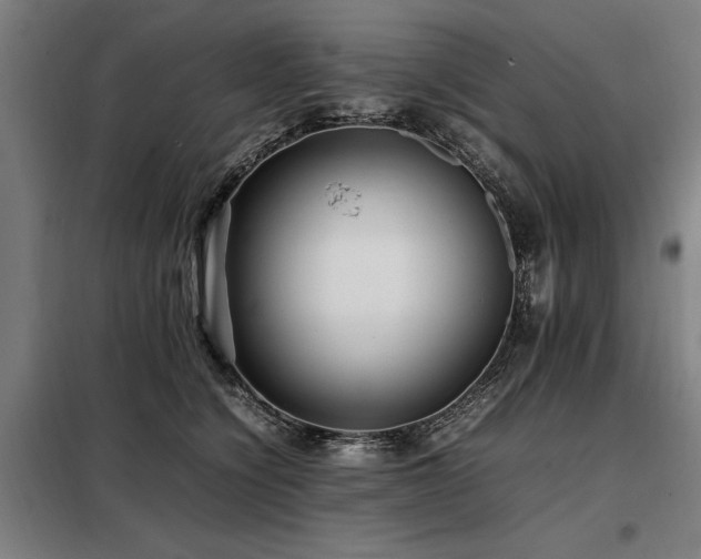 X0000098080564200804041151