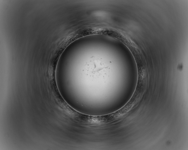 X0000098080565200804041151