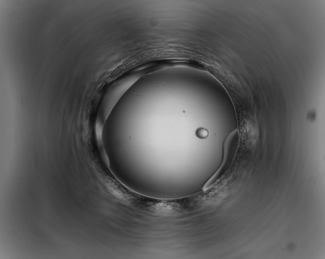 X0000098080566200804041151