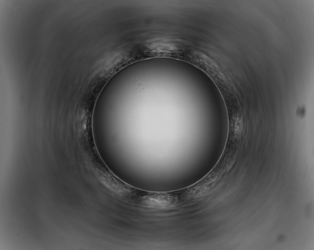 X0000098080567200804041151