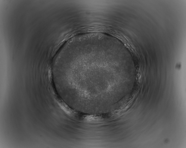 X0000098080568200804041151