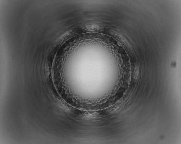 X0000098080569200804041151