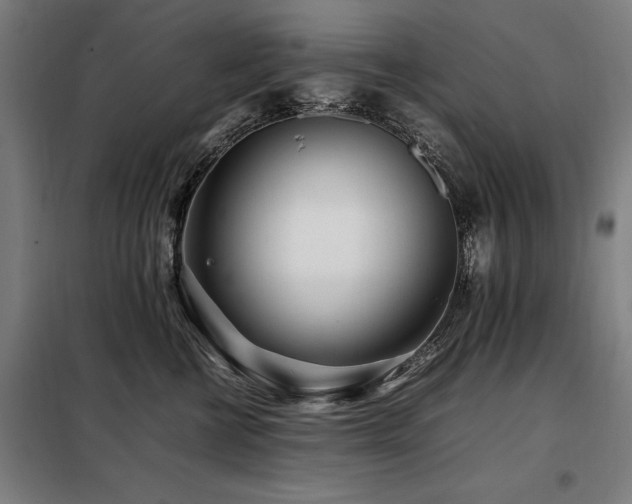 X0000098080570200804041151