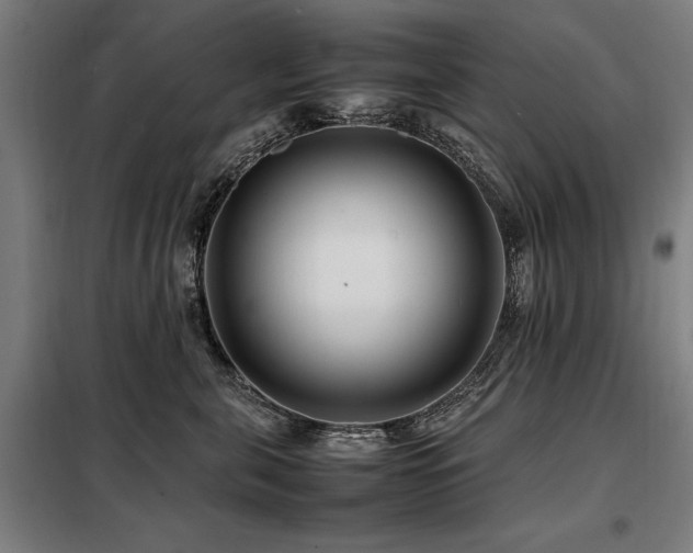 X0000098080571200804041151