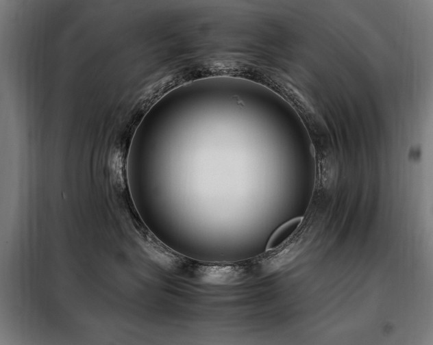 X0000098080575200804041151