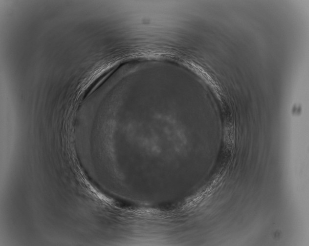 X0000098080577200804041151