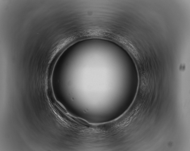 X0000098080578200804041151