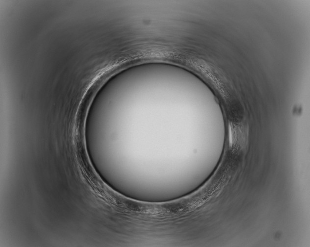 X0000098080579200804041151