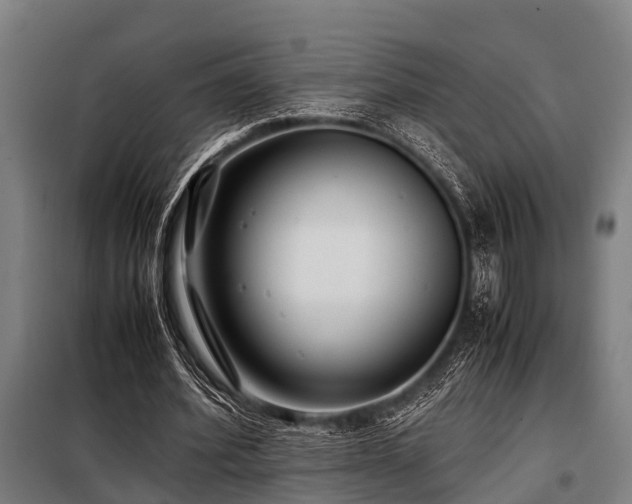 X0000098080580200804041151