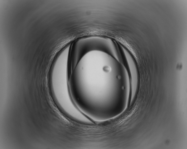 X0000098080581200804041151