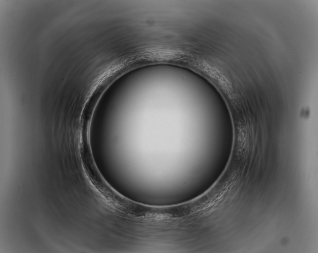 X0000098080582200804041151