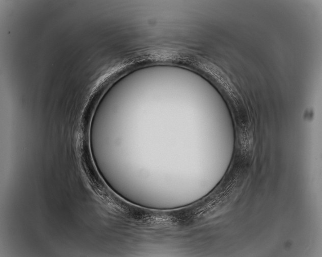 X0000098080583200804041151
