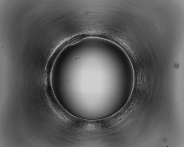 X0000098080584200804041151