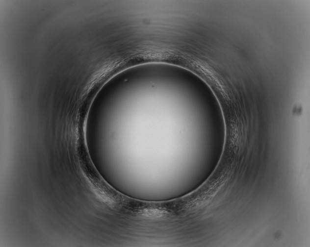 X0000098080586200804041150