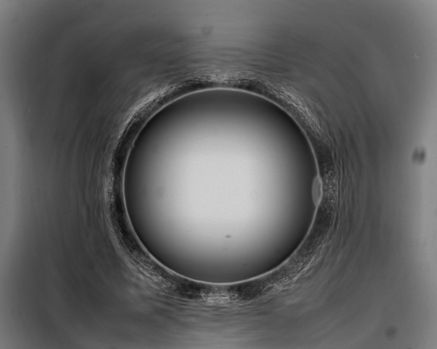 X0000098080587200804041150