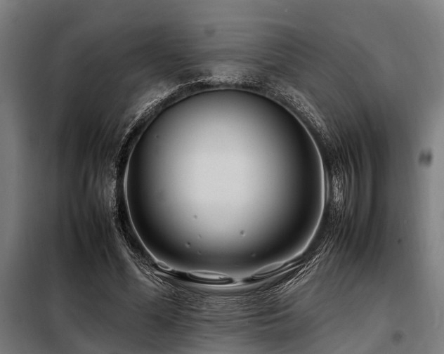 X0000098080588200804041150