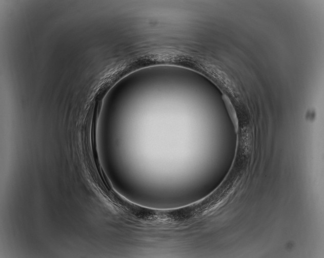 X0000098080589200804041150