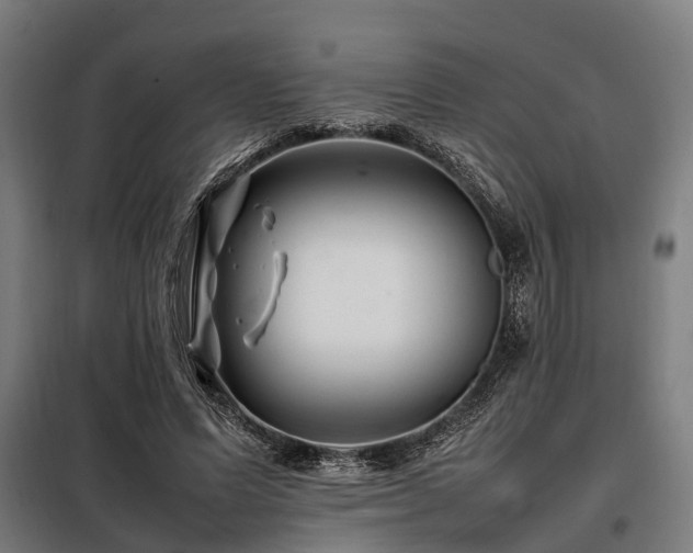 X0000098080591200804041150