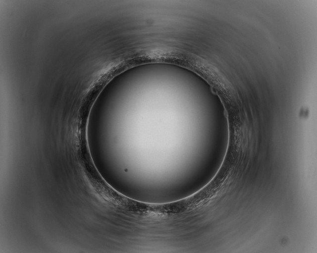 X0000098080592200804041150