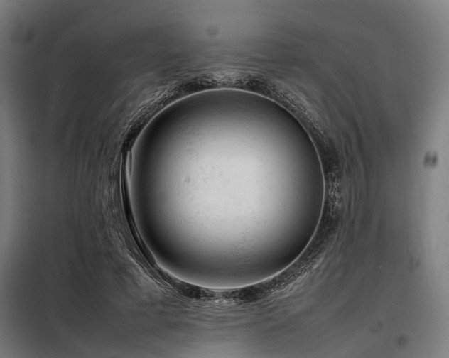 X0000098080593200804041150