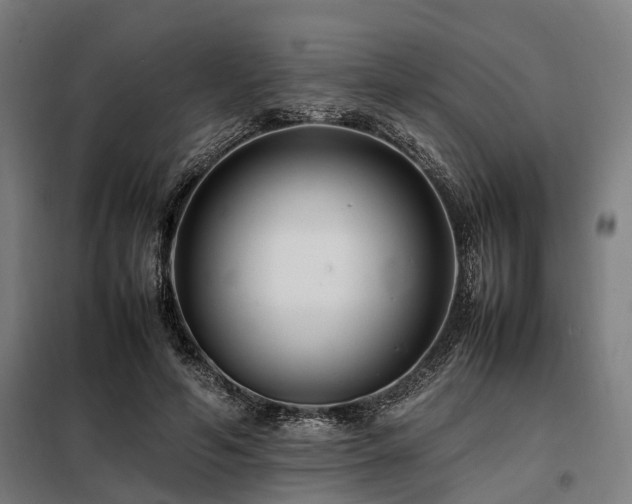 X0000098080594200804041150