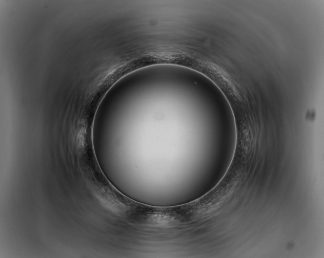 X0000098080596200804041150