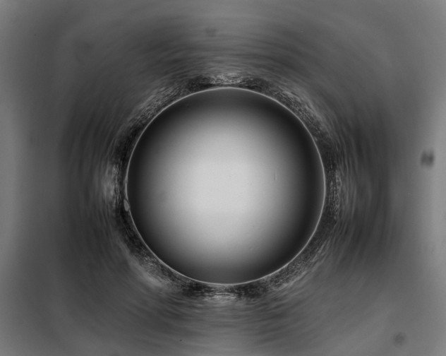 X0000098080598200804041150