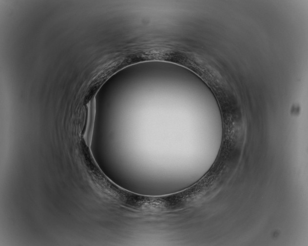 X0000098080599200804041150