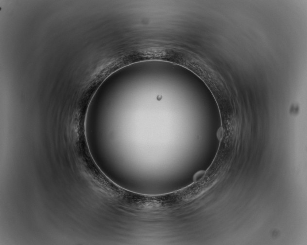 X0000098080600200804041150