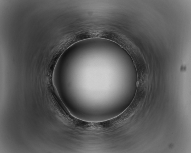 X0000098080601200804041150