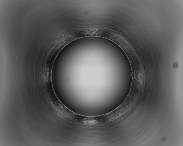 X0000098080602200804041150