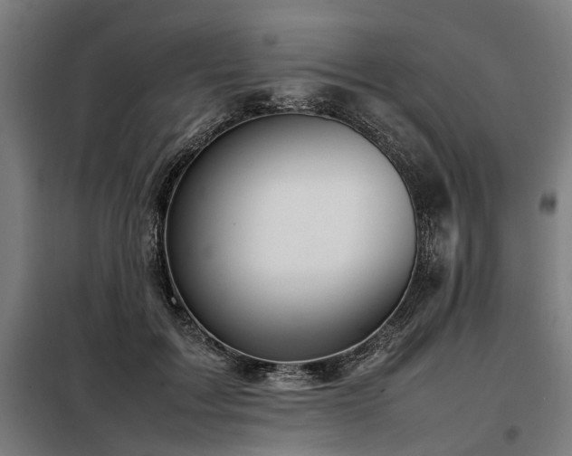 X0000098080603200804041150