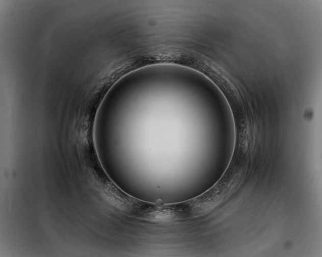 X0000098080604200804041150