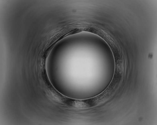 X0000098080605200804041150