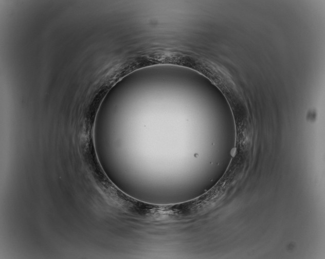 X0000098080607200804041150