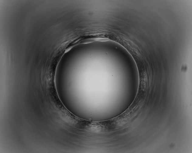 X0000098080608200804041150