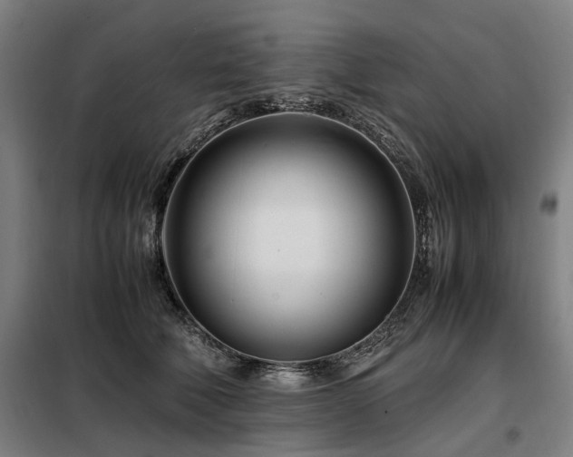 X0000098080610200804041150