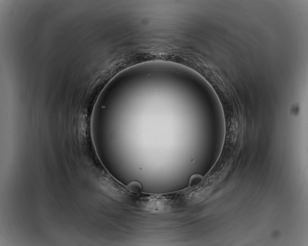 X0000098080612200804041150