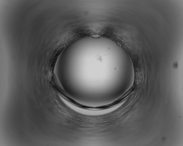 X0000098080613200804041150