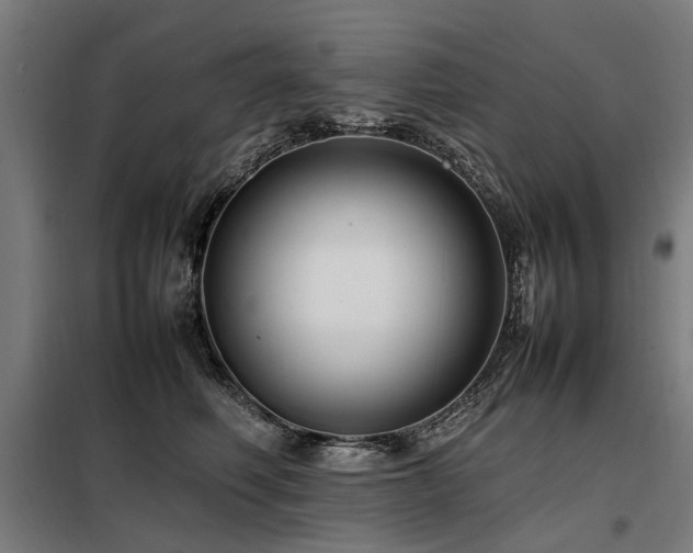 X0000098080614200804041150