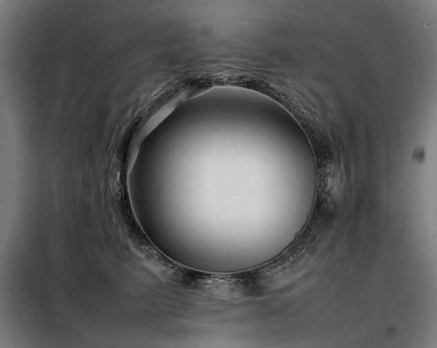 X0000098080615200804041150