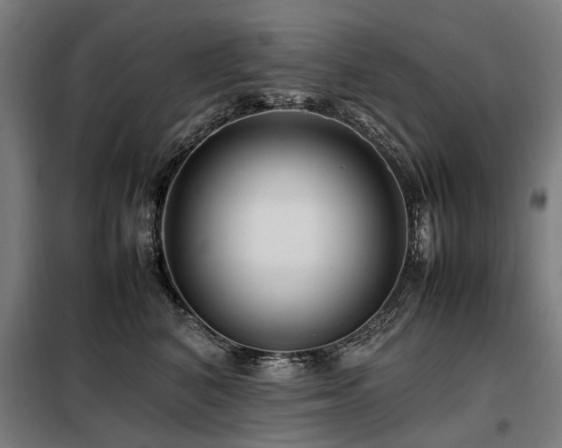 X0000098080616200804041150